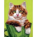 Printed Canvas 14x18 Cat in the green cup CDA3272