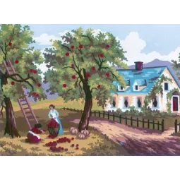 Atspausdinta drobė 14x18 Obuolių derlius CDA3210