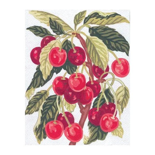 Toile imprimée 14x18 Cerises CDA3164