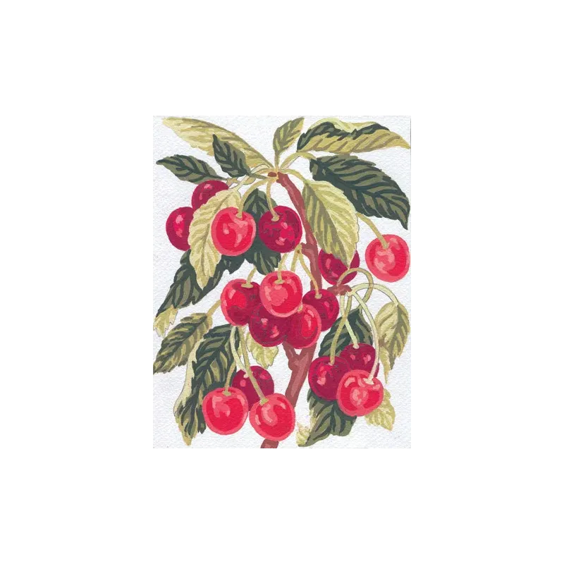 Gedruckte Leinwand 14x18 Kirschen CDA3164