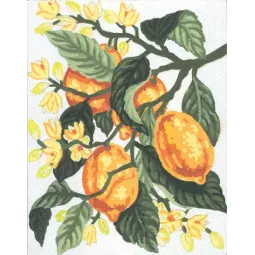 Printed Canvas 14x18 Lemons CDA3162