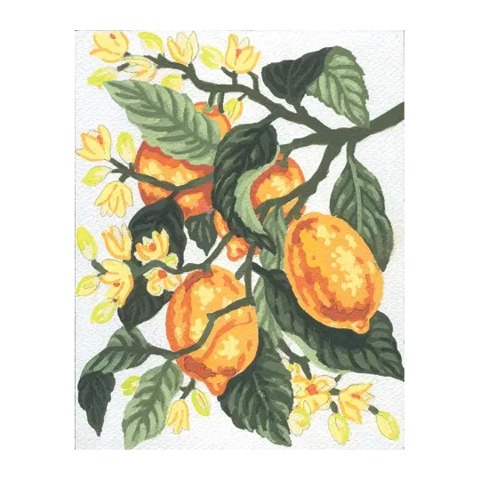 Printed Canvas 14x18 Lemons CDA3162