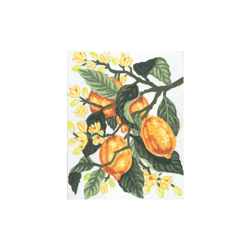 Toile Imprimée 14x18 Citrons CDA3162