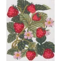 Printed Canvas 14x18 Strawberries CDA3161
