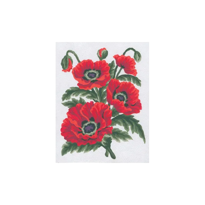 Printed Canvas 14x18 Poppies CDA3149