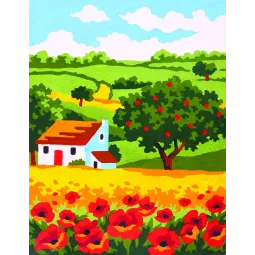 Холст с печатью 14x18 Маковое поле CDA3147