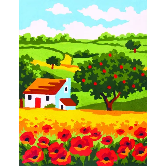 Atspausdinta drobė 14x18 Aguonų laukas CDA3147