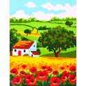 Printed Canvas 14x18 Poppy Field CDA3147