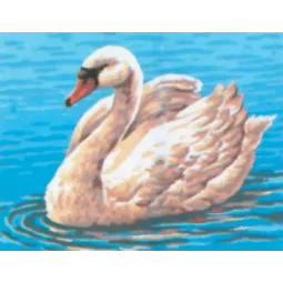 Toile Imprimée 14x18 Cygne CDA3094
