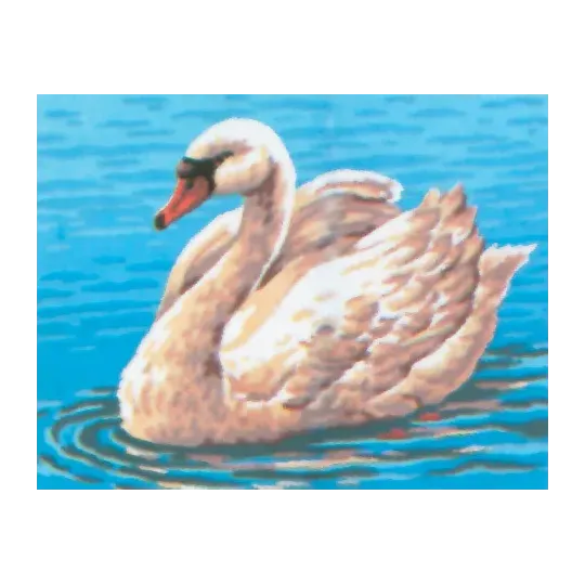 Spausdintas drobinis 14x18 Gulbė CDA3094