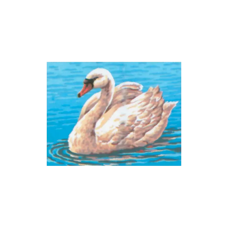 Spausdintas drobinis 14x18 Gulbė CDA3094