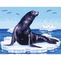 Printed Canvas 14x18 Seal on Ice CDA3091