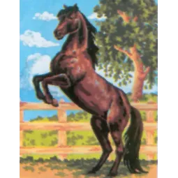 Printed Canvas 14x18 Black Stallion CDA3083