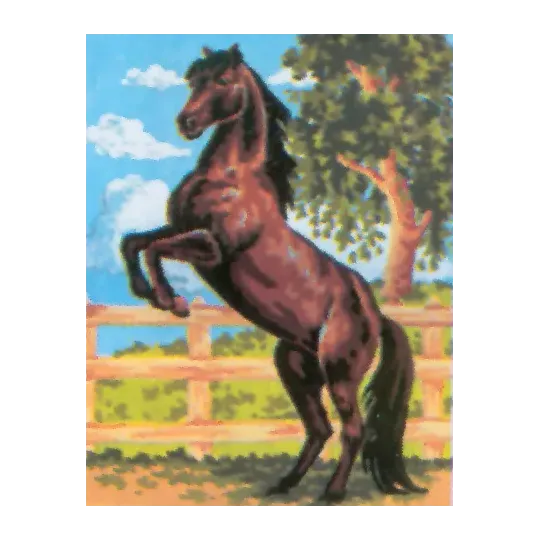 Printed Canvas 14x18 Black Stallion CDA3083