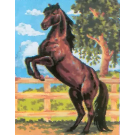 Printed Canvas 14x18 Black Stallion CDA3083