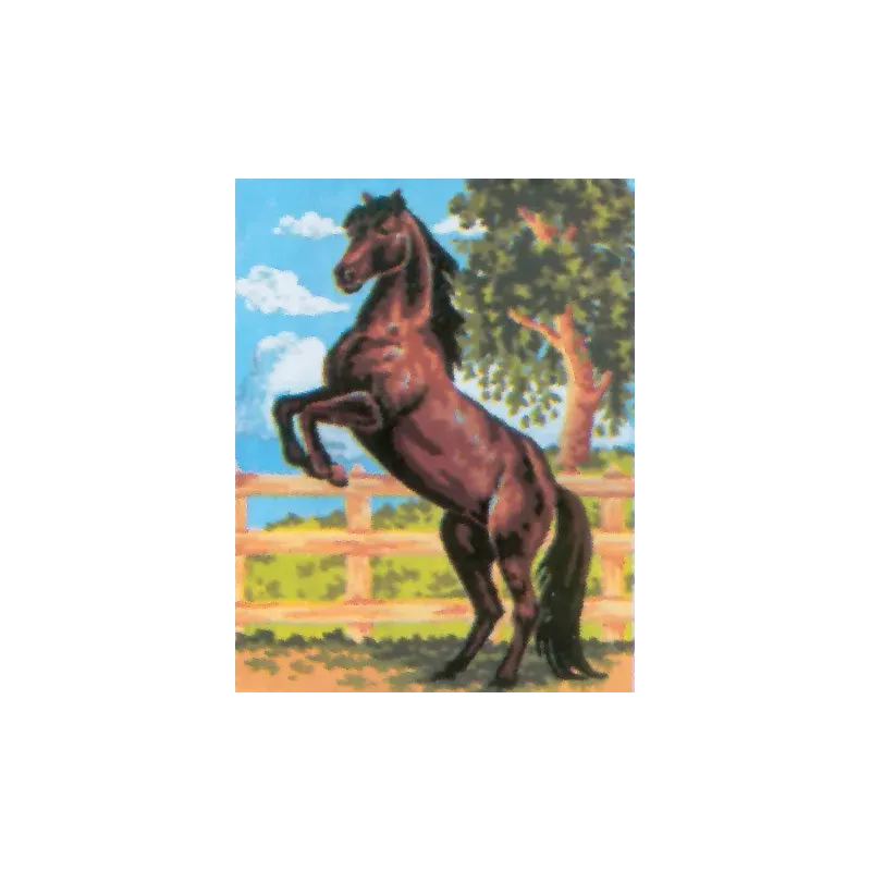 Printed Canvas 14x18 Black Stallion CDA3083