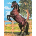 Printed Canvas 14x18 Black Stallion CDA3083
