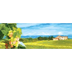 Printed Canvas 35x80 Grape CDA9009W