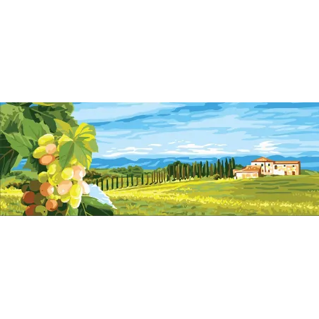 Printed Canvas 35x80 Grape CDA9009W