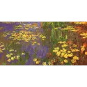 Printed Canvas 50x100 Nympheas Water Plantes, (Monet) CDA13985