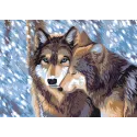 Printed Canvas 50x70 Wolves CDA12998