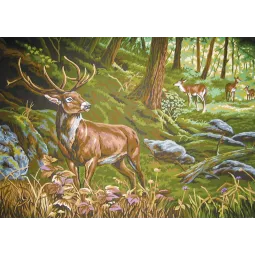 Printed Canvas 50x70 Watchful in the Forest CDA12972