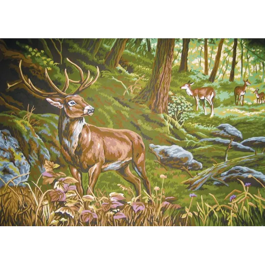 Spausdintas drobinis 50x70 Watchful in the Forest CDA12972