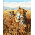Printed Canvas 50x40 Lion family CDA11884