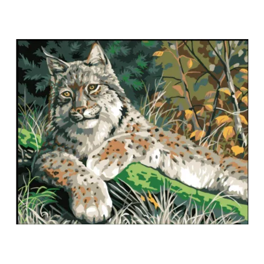 Spausdinta drobė 50x40 Lynx CDA11882