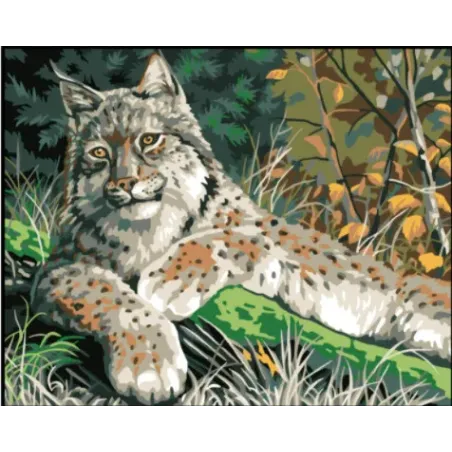 Toile imprimée 50x40 Lynx CDA11882