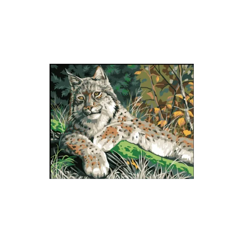 Spausdinta drobė 50x40 Lynx CDA11882