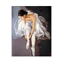 Printed Canvas 50x40 Prima Ballerina CDA11569