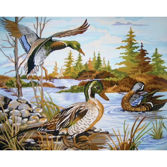 Printed Canvas 50x40 Mallards at the River CDA11535
