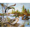 Toile Imprimée 50x40 Canards Colverts à la Rivière CDA11535