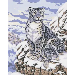 Toile imprimée 50x40 Snow Leopards CDA11484