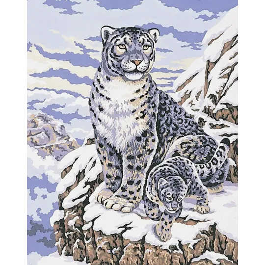 Printed Canvas 50x40 Snow Leopards CDA11484