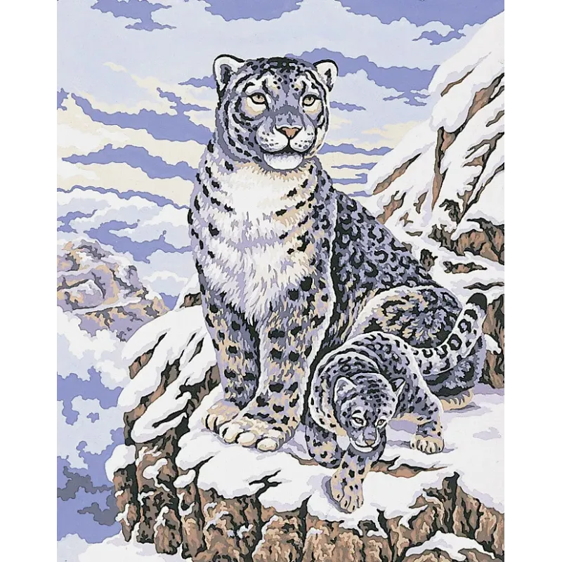 Printed Canvas 50x40 Snow Leopards CDA11484