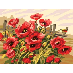 Печатный холст 30x40 Маки CDA10487