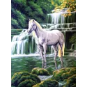 Toile imprimée 30x40 Cheval blanc à la cascade CDA10428