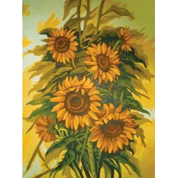 Spausdintas drobės 30x40 Laukinės saulėgrąžos CDA10413