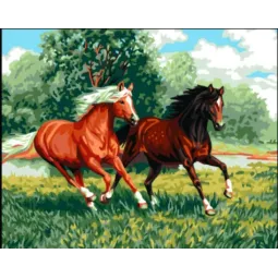 Bedruckte Leinwand 50x40 Wilde Pferde CDA11881