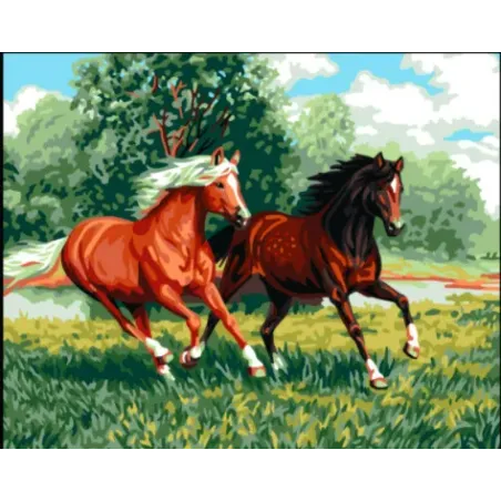 Toile imprimée 50x40 Chevaux sauvages CDA11881