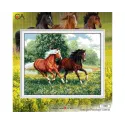 Toile imprimée 50x40 Chevaux sauvages CDA11881