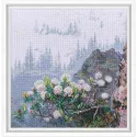 Cross-stitch kit RTOM1015