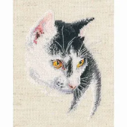 Cross-stitch kit RTOC423