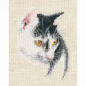 Cross-stitch kit RTOC423