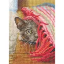 Cross-stitch kit RTOC422