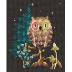 Kryželiu siuvinėjimo rinkinys RTOC436