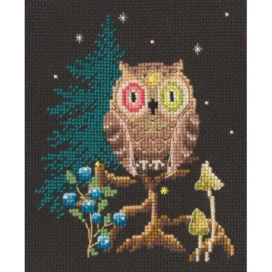 Cross-stitch kit RTOC436