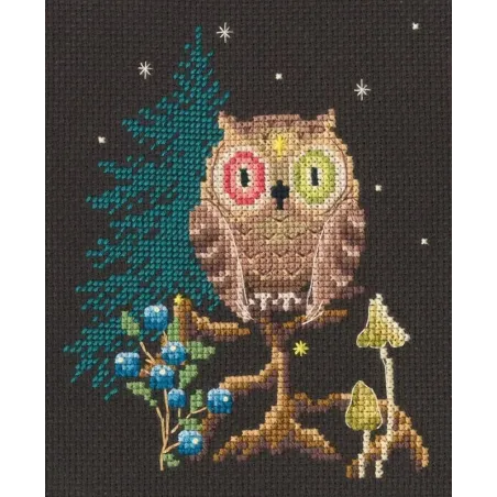 Cross-stitch kit RTOC436